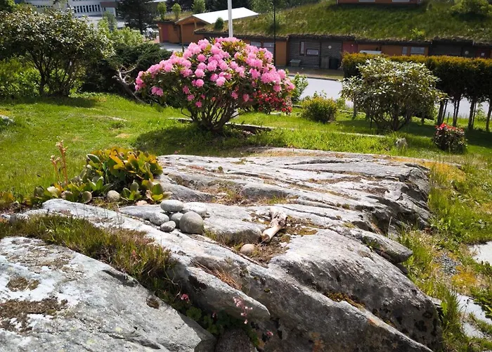 House Close To Center *